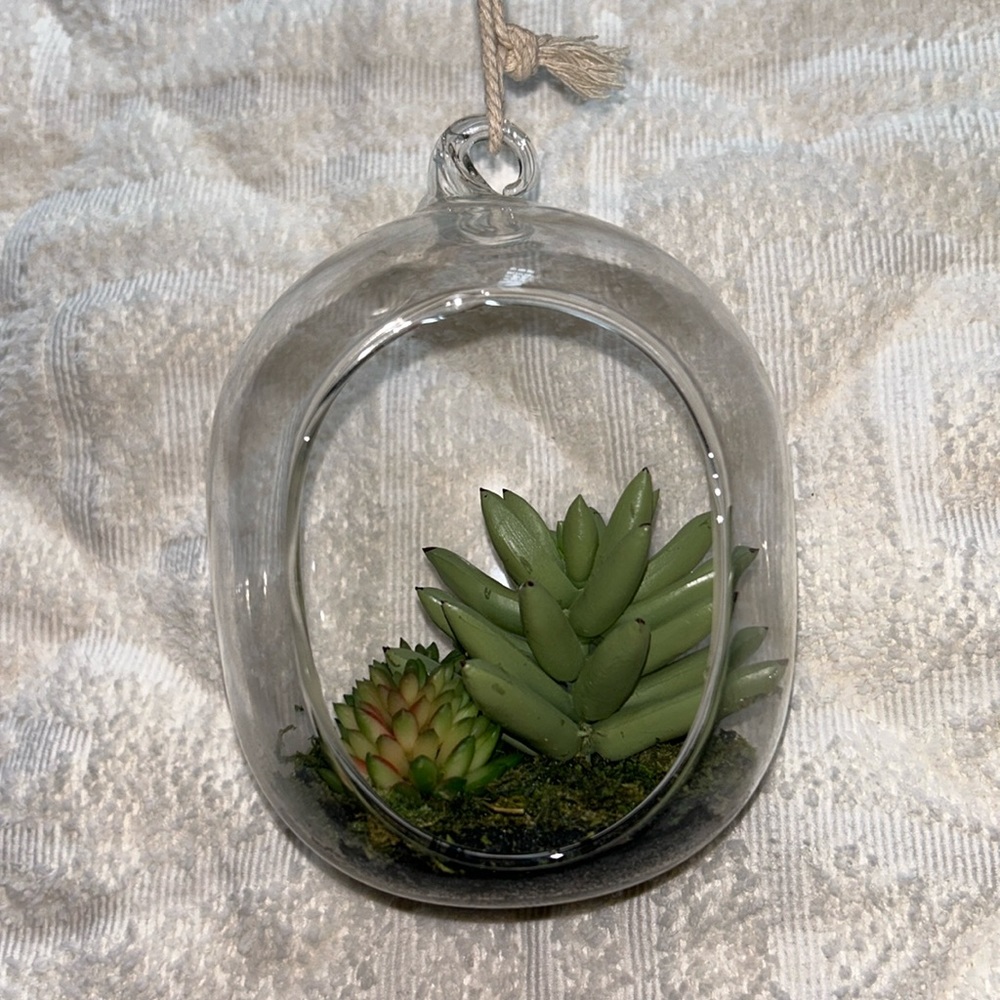 Adorable hanging small succulent | No scrapes or damage | material is glass